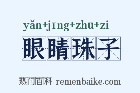 眼睛珠子是什么意思的图片